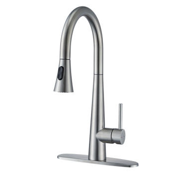 Single Lever Economic Kitchen Faucet