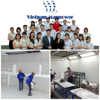 Vietnamese painters for your requirement