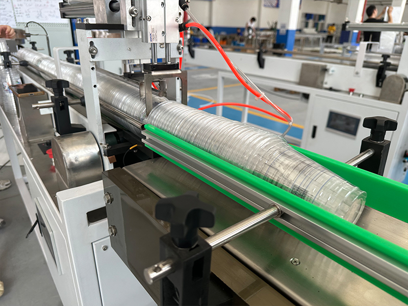 Rotary Pillow Packaging Machine