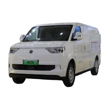 Van de cargaison électrique Ruichi EC75: nouvel ajout à la flotte de véhicules économes en énergie