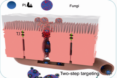 drug delivery