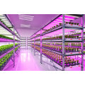 SKYPLANT Smart Grow Shelves/Racks/Rolling Benches with Lifting and Ventilation Functions for Indoor Vertical Farming