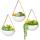 Ceramic Hanging Planter Wall Planter Set