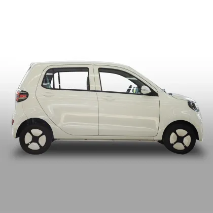 Popular E Car 4 Seats E Car Electric Car
