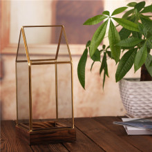 Günstige Großhandel heißer Verkauf klares geometrisches Glas Terrarium