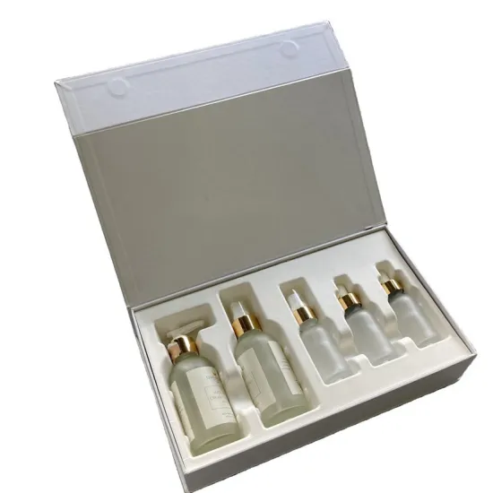 Customized Bio-degradable FoldingLuxury Small Gift Box Plane