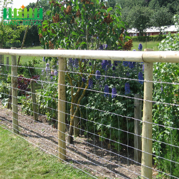 Free Sample Hot Dip Galvanized Field Fence Wholesale
