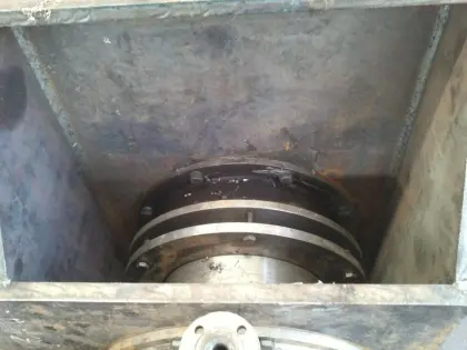 Inorganic Chemical Industry Paddle Dryer