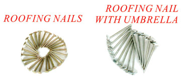 Nail