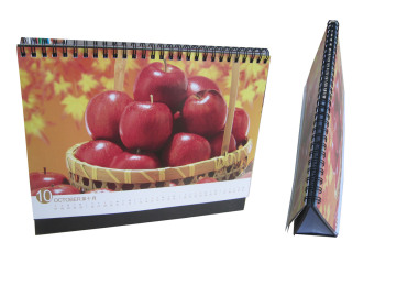Calendar (C006)