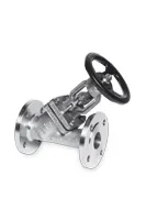 Globe Valves with Slanted Seat BR1200