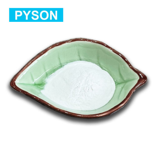 Pyson Supply Best Choline Supplement