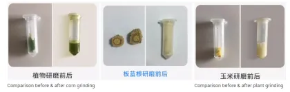 High Throughput Tissue Grinder: Scientific Laboratory Homogenizer Equipment