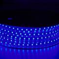 ETL Approved 120V Flexible Ribbon Led Strip