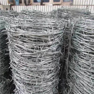 Wholesale Galvanized Barbed Wire Price Per Roll Barbed Wire Fence Design