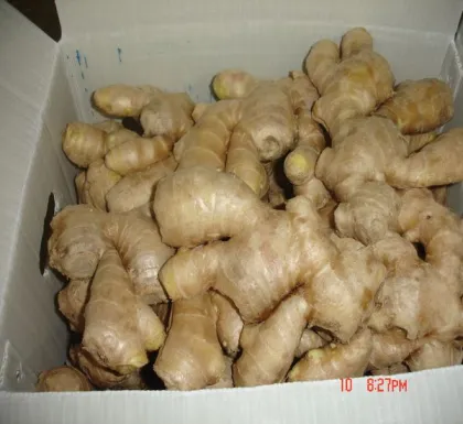 Fresh Ginger Dried Ginger