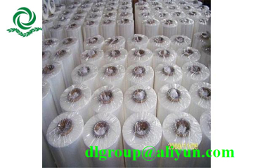 PE stretch Film export more than 10 countries
