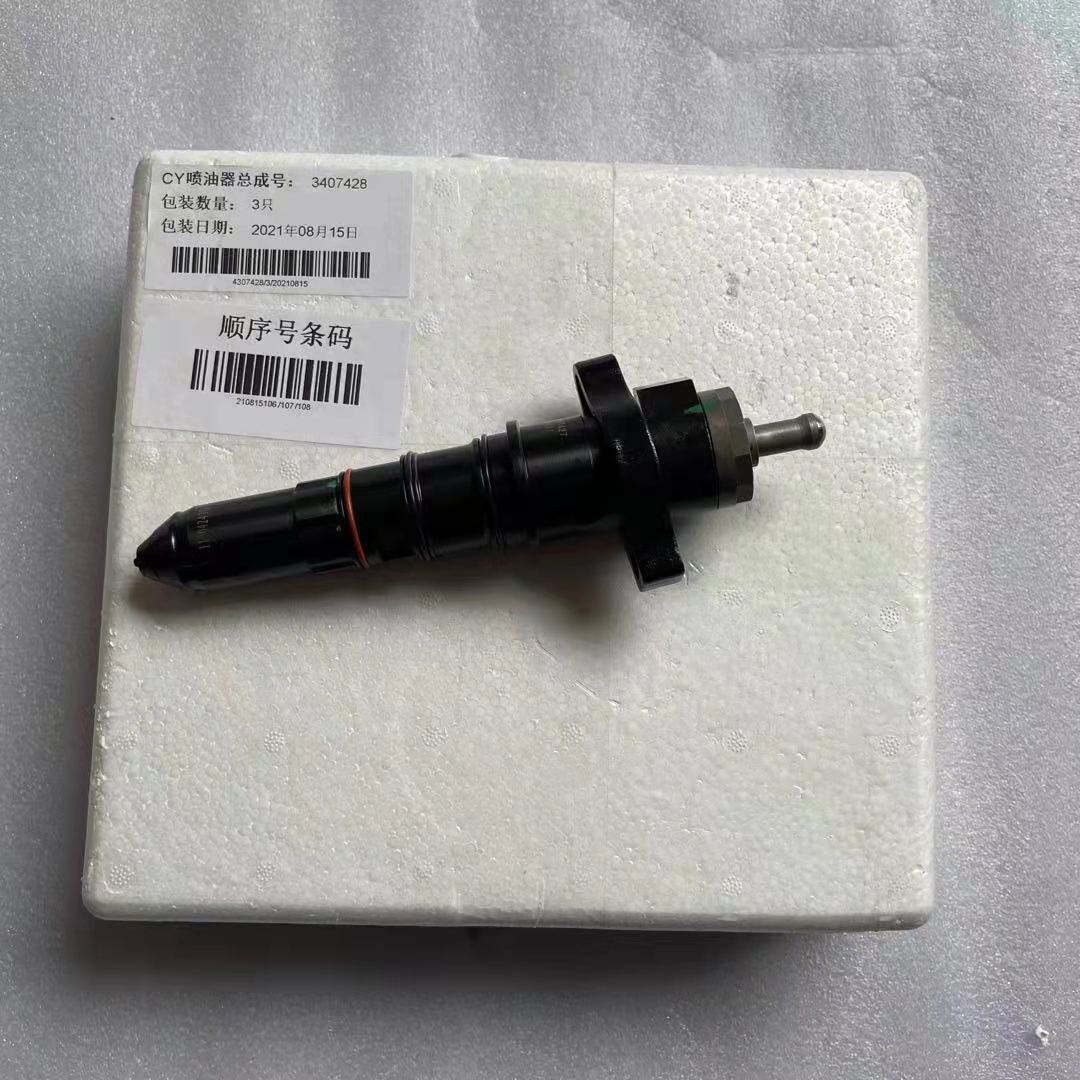 Injector Assy 4307428