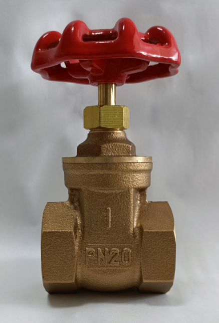 Bronze gate valve CMG2200 1/2