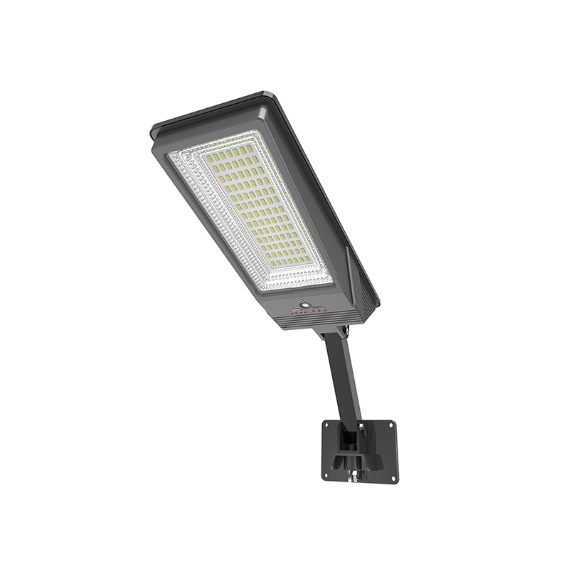 Induction Garden Street Light