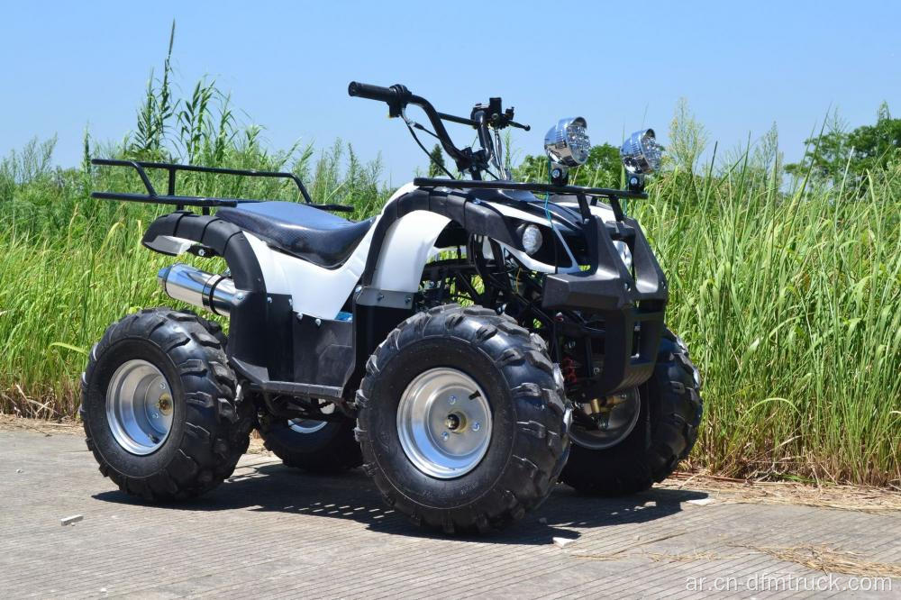 البيع الساخن ATV 110/125cc Quad Bikes