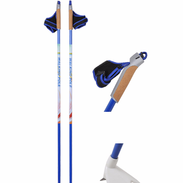 Alum vs Carbon Alpine/Touring Ski Poles