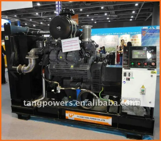 Deutz 1015 Series Gas Generator Set 250kva