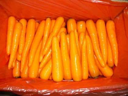 Good carrot sweet taste