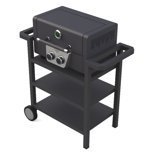 2 Burner Gas Grill BBQ With Removable Trolley