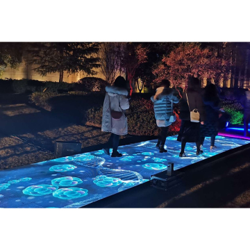 Affichages LED et solutions de location de piste de danse: P3.9, P6 et écrans LED intérieurs