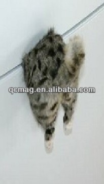Fridge Half Cat