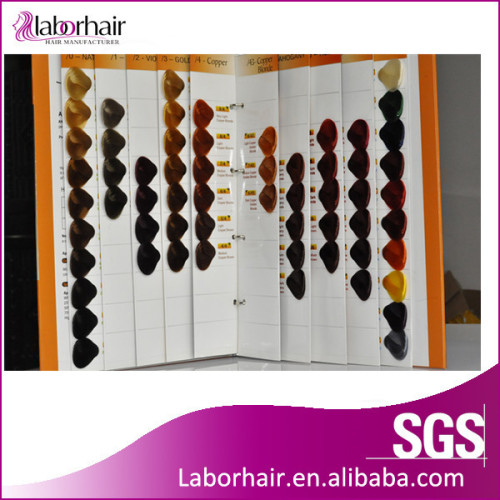 Professional Hair Color Cream Color Chart Factory Price Binder