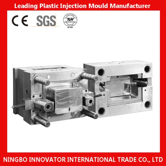 Competitive Plastic Mold Manufacturer for Electricity Appliance (MILE-PIM040)