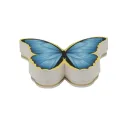 Irregular texture butterfly shaped gift box