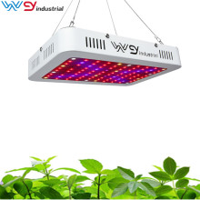 Super Bright Indoor Garden 600w Grow Lamp