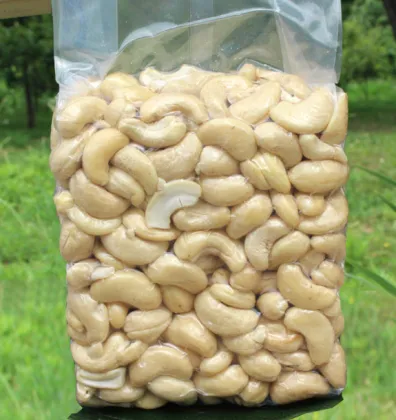 Vietnam dried raw cashew nuts