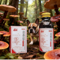 Pet Wound Healing Nutrition Liquid