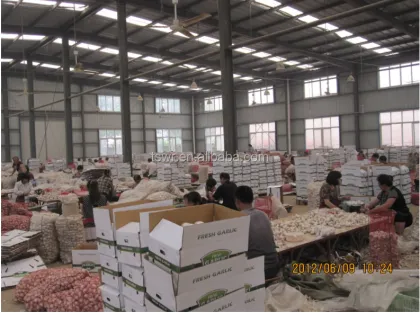 garlic package garlic factory garlic food