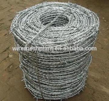 cheap galvanized barbed wire fence / hot galvanized barbed wire fence