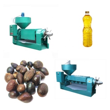 Hot Sale Small Scale Palm Kernel Oil Extracting Machine