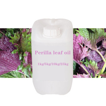 Organic Perilla Leaf Essential Oil