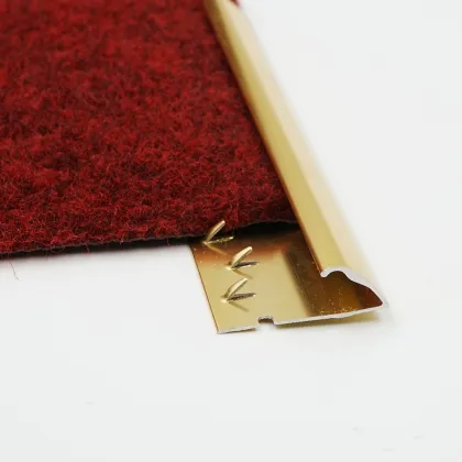 LENWA ALUMINIUM Carpet Transition Strips
