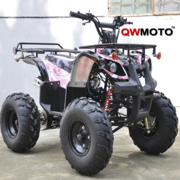 off Road 110CC ATV Quad Bike CE