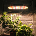 High-output 2.8umol / J LED Grow Light 100w Full Spectrum