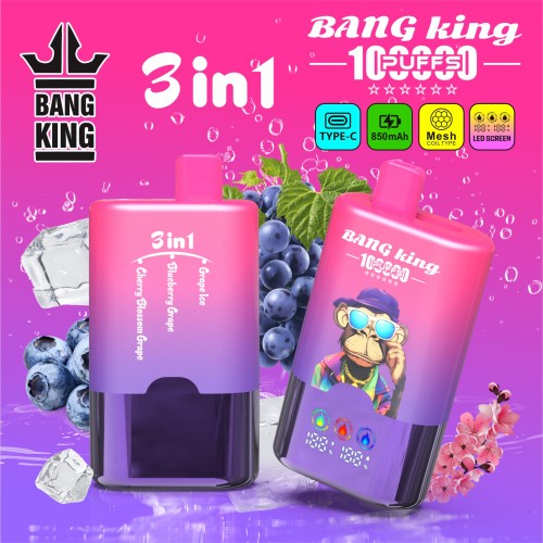 grosir Bang king 100k puff 3in1 vape