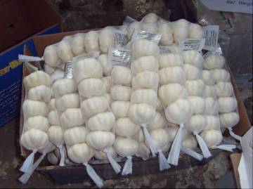 Jinxiang pure white garlic