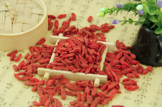 Dried Goji Berry Export with Cheap Price