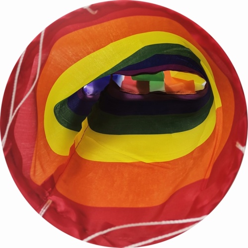 Hot Product Rainbow Polyester Wind Sock Gay Pride
