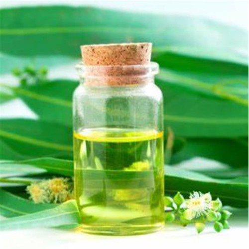 2022 hot selling pure natural eucalyptus oil bulk