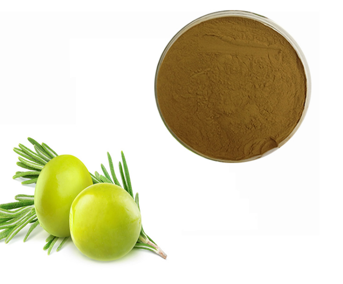Olive Leaf Extract Powder 10% Hplc Oleuropein